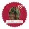 Red Suede Mat Board for 11x14 Frames - Oval Opening for 8.5x11 Photos